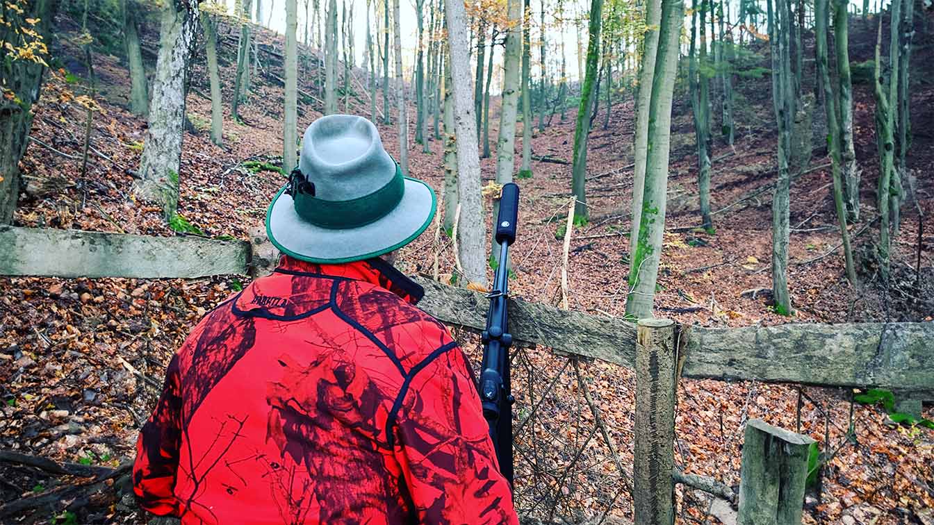 Rückansicht eines Schützen auf einer Drückjagd mit roter Jacke, der auf einem Erdsitz steht. Er steht im Hochwald.