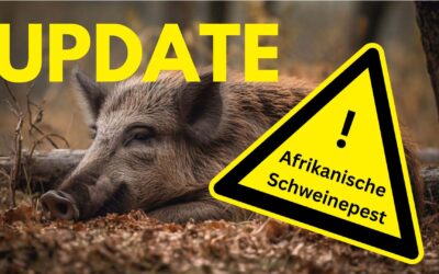 37 Fälle von Afrikanischer Schweinepest bestätigt