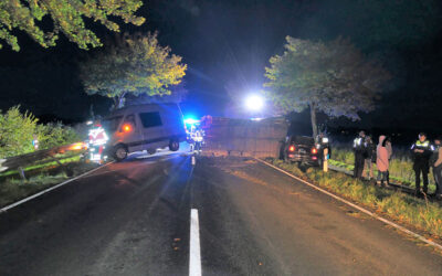 Unfall nach Ausweichmanöver bei Wildwechsel