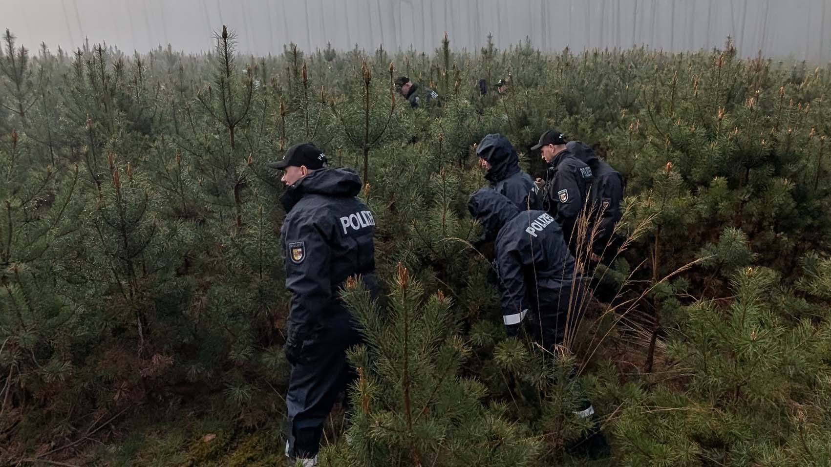 Polizisten durchstreifen eine Kiefernschonung.