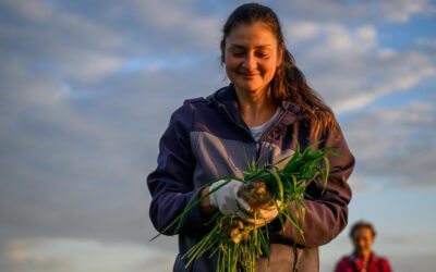 Jagd – ein unterschätztes Ehrenamt